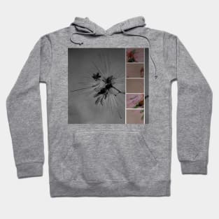 Save the busy Bees! Hoodie